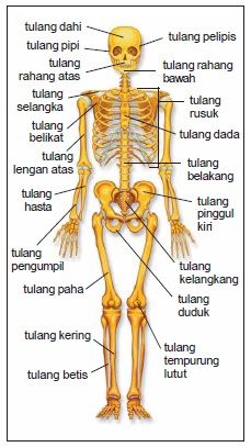 Gambar Materi